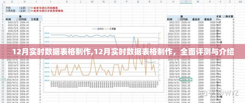 2024年12月25日 第5页