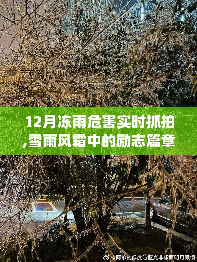 雪雨风霜中的励志篇章，冻雨危害下的学习与自信成长之路