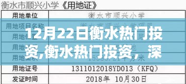 衡水热门投资深度测评与介绍，最新动态及介绍