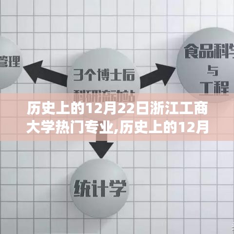 历史上的浙江工商大学热门专业演变，聚焦12月22日的发展轨迹