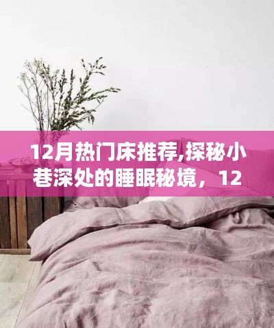 探秘小巷深处的睡眠秘境，揭秘十二月热门床品推荐与秘密大解密