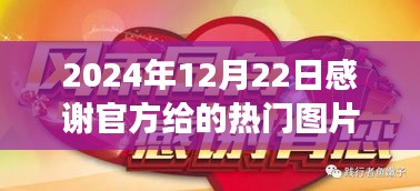 感恩馈赠，热门图片背后的故事与特殊的光辉时刻（2024年12月22日）