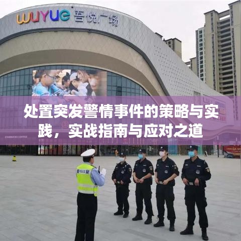 处置突发警情事件的策略与实践，实战指南与应对之道