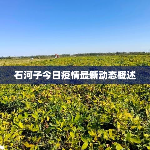 石河子今日疫情最新动态概述