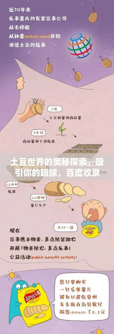2025年5月8日 第4页
