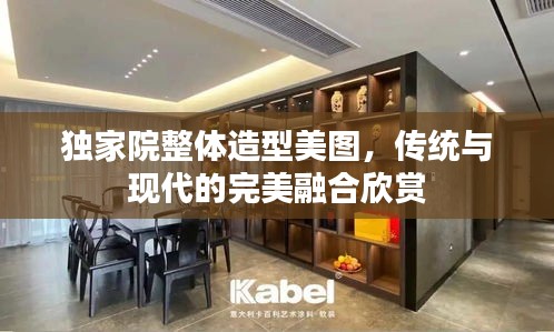 独家院整体造型美图，传统与现代的完美融合欣赏