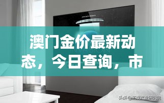 澳门金价最新动态，今日查询，市场走势及影响因素深度解析