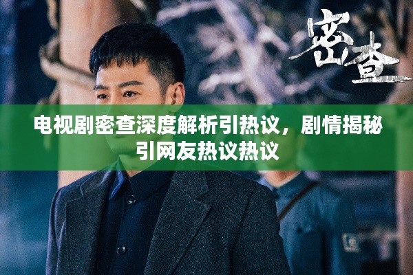 电视剧密查深度解析引热议，剧情揭秘引网友热议热议