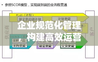 企业规范化管理，构建高效运营体系的关键所在
