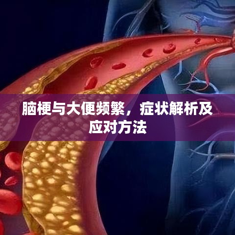 脑梗与大便频繁，症状解析及应对方法