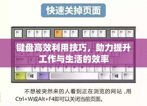 撺哄鸟乱