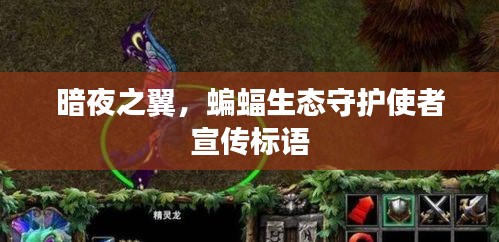 暗夜之翼，蝙蝠生态守护使者宣传标语