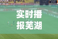 实时播报芜湖今日头条新闻直播，掌握城市最新动态