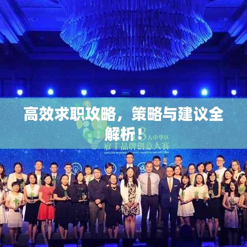 高效求职攻略，策略与建议全解析！