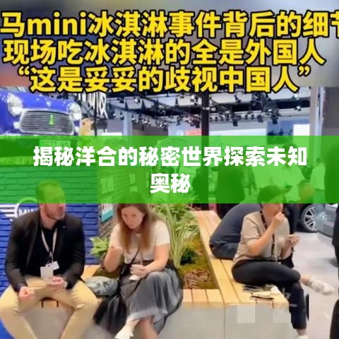 揭秘洋合的秘密世界探索未知奥秘