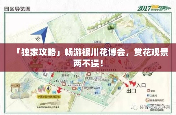 「独家攻略」畅游银川花博会，赏花观景两不误！