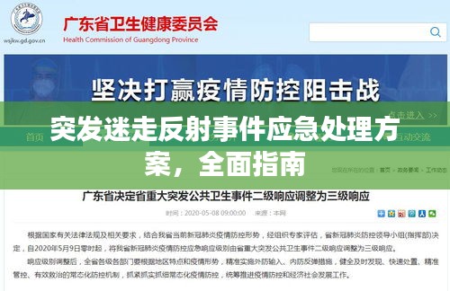 娇小玲珑