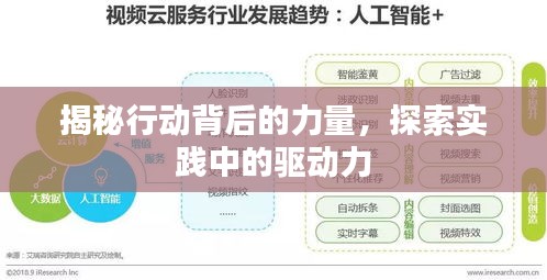 揭秘行动背后的力量，探索实践中的驱动力