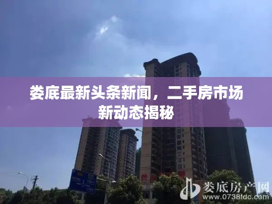 娄底最新头条新闻，二手房市场新动态揭秘