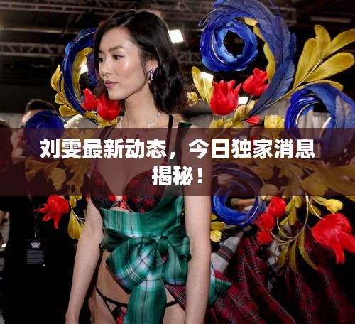刘雯最新动态，今日独家消息揭秘！