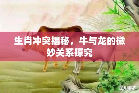 2025年6月8日 第5页