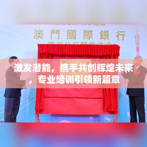 激发潜能，携手共创辉煌未来，专业培训引领新篇章