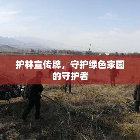 护林宣传牌，守护绿色家园的守护者