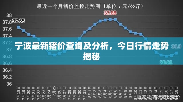 2025年6月11日 第2页