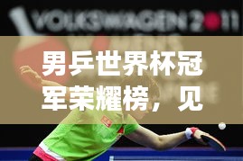 男乒世界杯冠军荣耀榜，见证辉煌时刻，乒坛精英一览无余