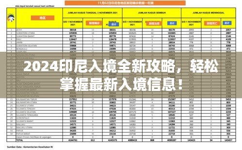 2024印尼入境全新攻略，轻松掌握最新入境信息！
