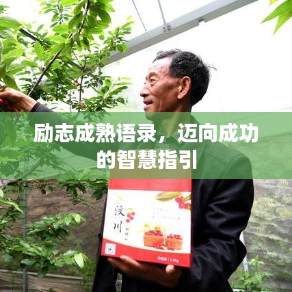 励志成熟语录，迈向成功的智慧指引