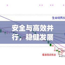 安全与高效并行，稳健发展典范展现