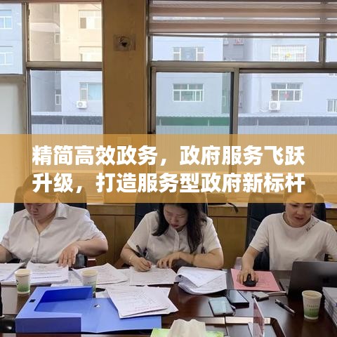 精简高效政务，政府服务飞跃升级，打造服务型政府新标杆