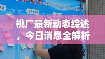 桃厂最新动态综述，今日消息全解析