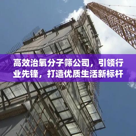 高效治氧分子筛公司，引领行业先锋，打造优质生活新标杆