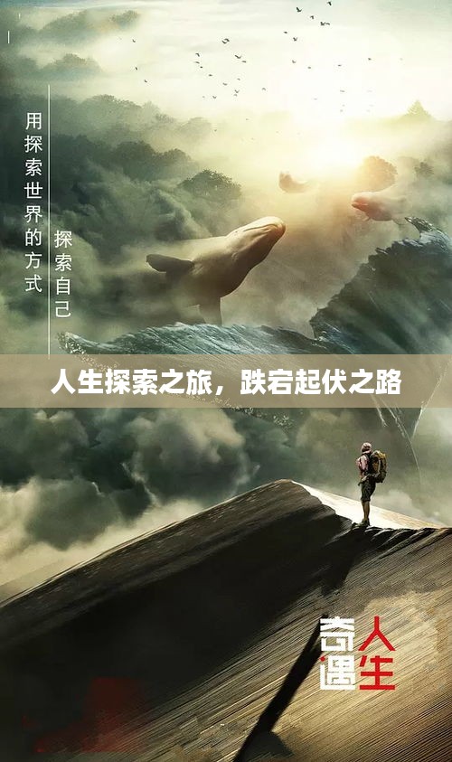 人生探索之旅，跌宕起伏之路