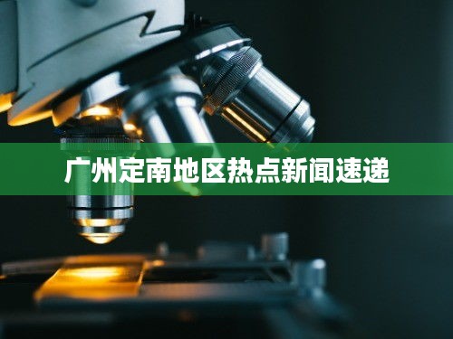 广州定南地区热点新闻速递