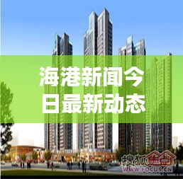 海港新闻今日最新动态速递