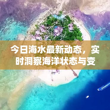 今日海水最新动态，实时洞察海洋状态与变化