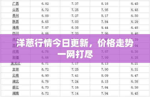 洋葱行情今日更新，价格走势一网打尽